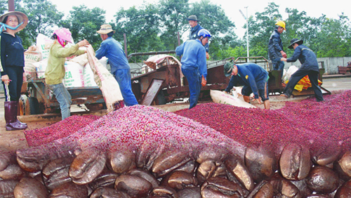 Agricultural exports hit US 10 7 billion
